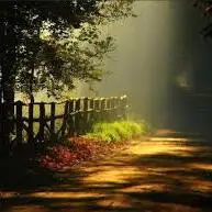 natural beauty eye catching nature dp for whatsapp natural beauty eye catching nature dp for whatsapp